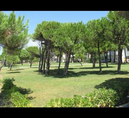 Albania Holiday Resort in Lalzi Bay. Albania Property Rental